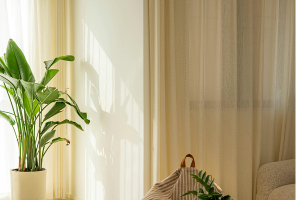 Como distribuir plantas pela sala sem deixar o ambiente pesado
